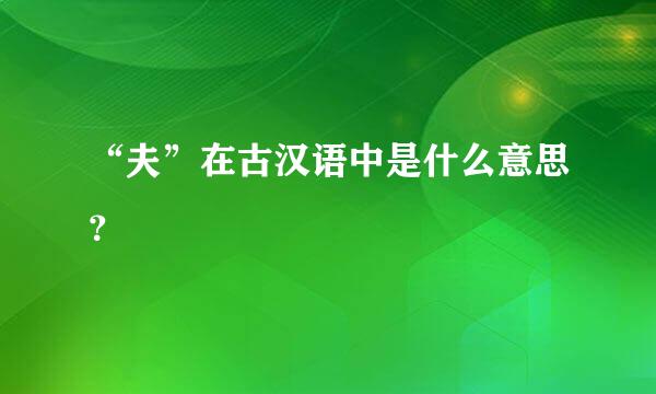 “夫”在古汉语中是什么意思？