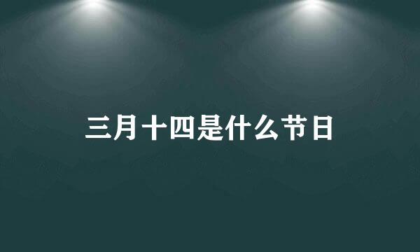 三月十四是什么节日