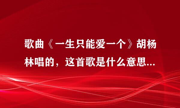 歌曲《一生只能爱一个》胡杨林唱的，这首歌是什么意思，请给予最好的答案，谢谢高手！