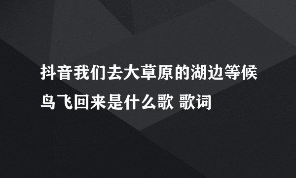 抖音我们去大草原的湖边等候鸟飞回来是什么歌 歌词