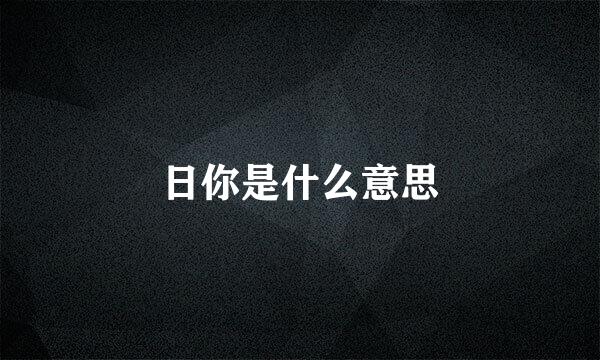 日你是什么意思