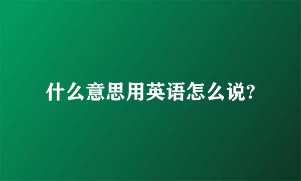 什么意思用英语怎么说?