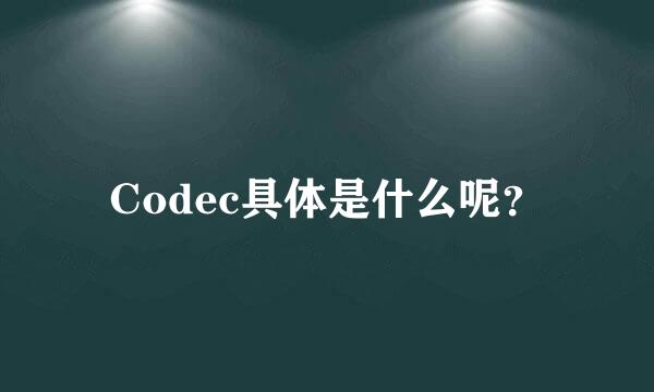 Codec具体是什么呢？