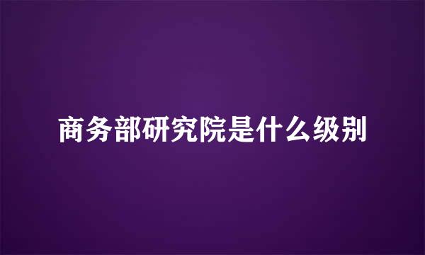 商务部研究院是什么级别