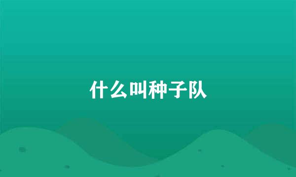 什么叫种子队