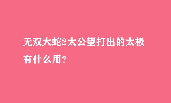 无双大蛇2太公望打出的太极有什么用？