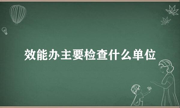 效能办主要检查什么单位