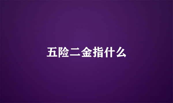 五险二金指什么