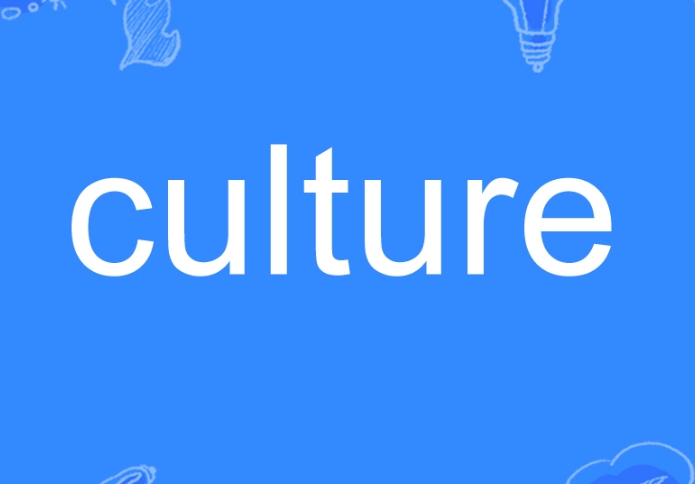 culture可数吗?