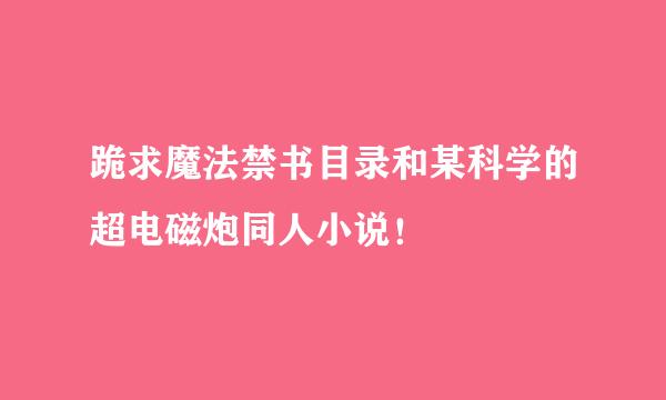 跪求魔法禁书目录和某科学的超电磁炮同人小说！