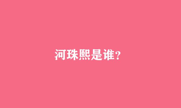 河珠熙是谁？