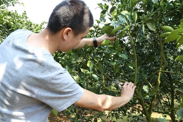 山东一村8090后全部回村，如何看待农村的就业前景？