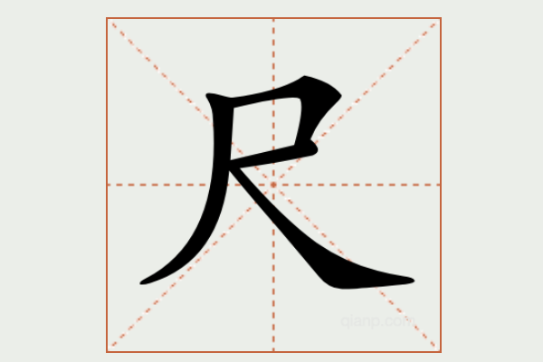 尸字旁的字有哪些