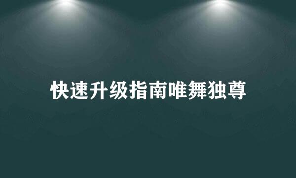 快速升级指南唯舞独尊