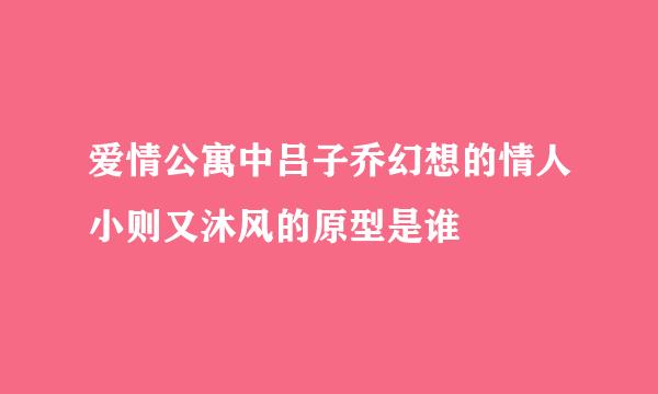 爱情公寓中吕子乔幻想的情人小则又沐风的原型是谁