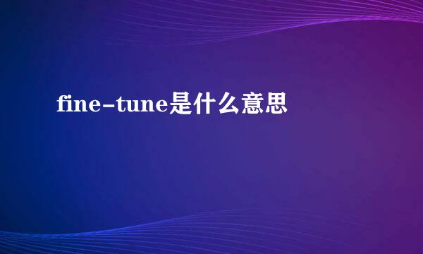 fine-tune是什么意思