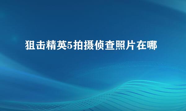 狙击精英5拍摄侦查照片在哪