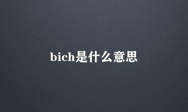 bich是什么意思