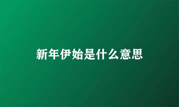 新年伊始是什么意思