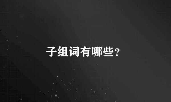 子组词有哪些？