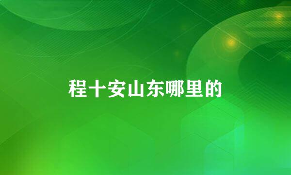 程十安山东哪里的