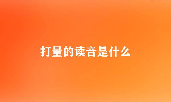 打量的读音是什么