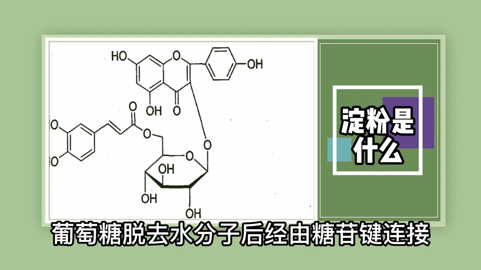 淀粉是什么？