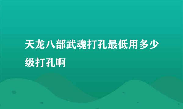 天龙八部武魂打孔最低用多少级打孔啊