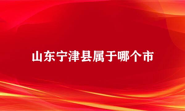 山东宁津县属于哪个市