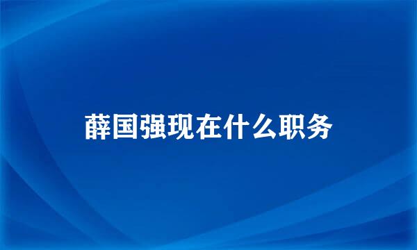 薛国强现在什么职务