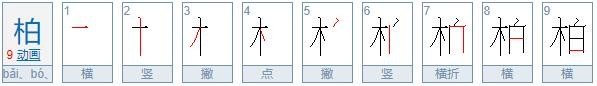 柏的意思是什么？