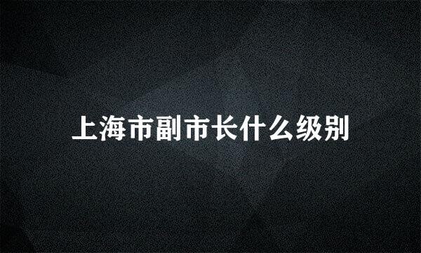 上海市副市长什么级别