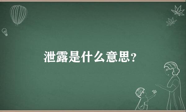 泄露是什么意思？