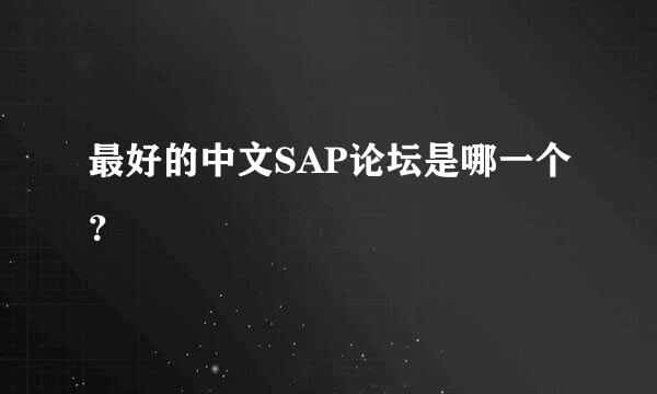 最好的中文SAP论坛是哪一个？