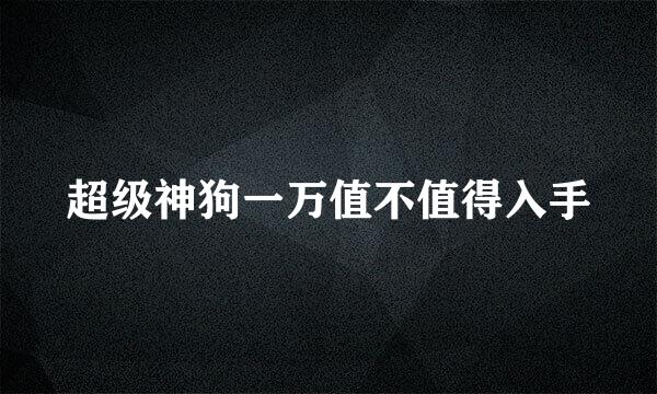 超级神狗一万值不值得入手