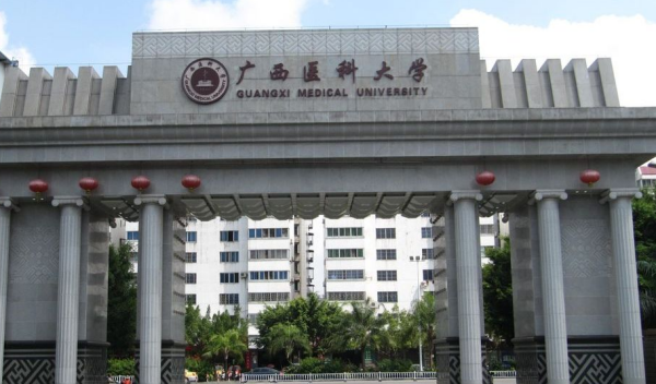 广西都有来自哪些大学