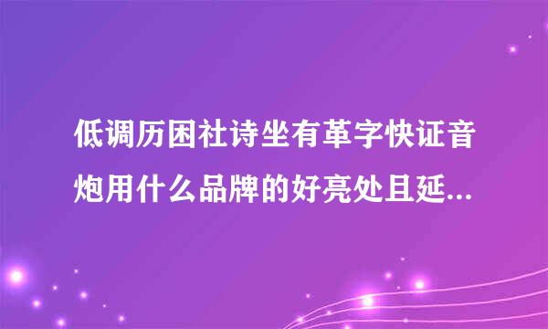 低调历困社诗坐有革字快证音炮用什么品牌的好亮处且延传缩动置，低音好的?