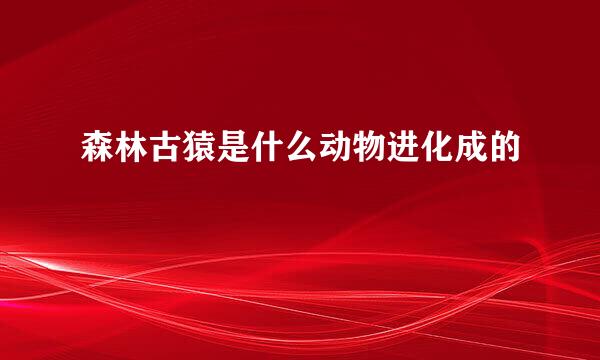 森林古猿是什么动物进化成的