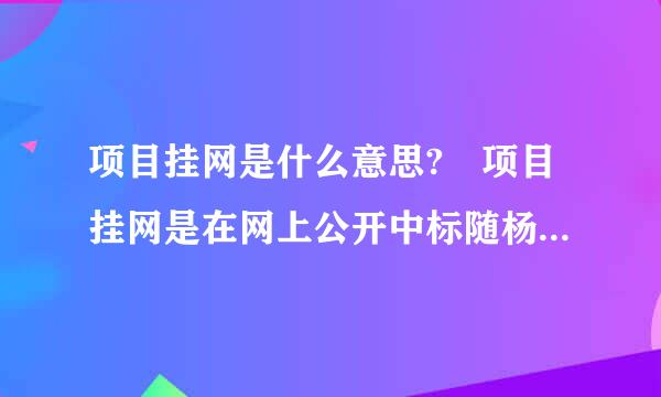 项目挂网是什么意思? 项目挂网是在网上公开中标随杨林基的公司吗?还是意思是挂在网上告诉人家公开招标?