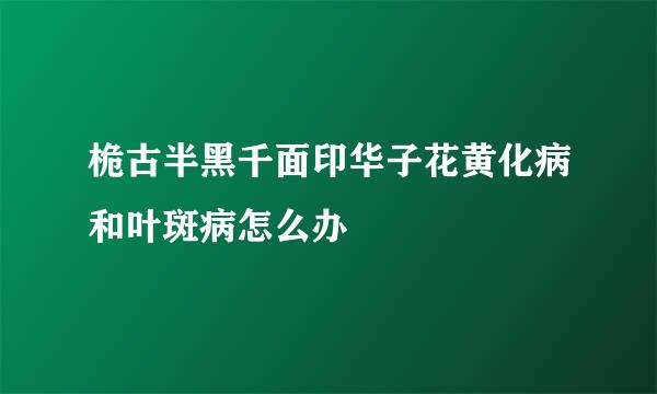 桅古半黑千面印华子花黄化病和叶斑病怎么办