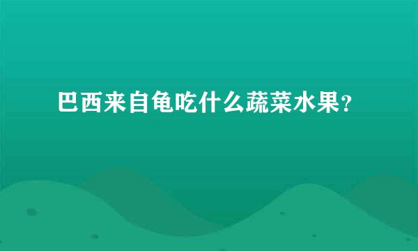 巴西来自龟吃什么蔬菜水果？