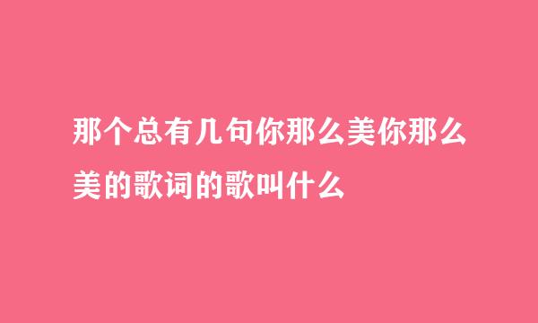 那个总有几句你那么美你那么美的歌词的歌叫什么