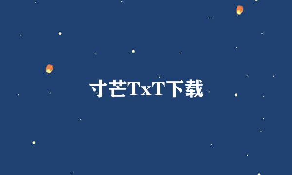 寸芒TxT下载