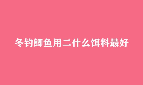 冬钓鲫鱼用二什么饵料最好