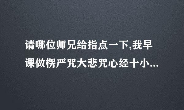 请哪位师兄给指点一下,我早课做楞严咒大悲咒心经十小咒晚课一卷楞严经这是修的什么法门