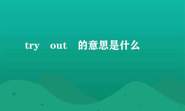 try out 的意思是什么