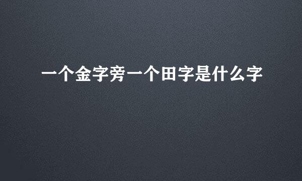 一个金字旁一个田字是什么字