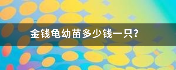 金钱龟幼苗多少钱一只？