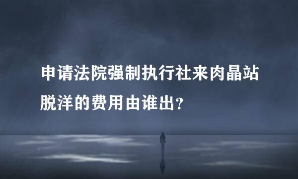 申请法院强制执行社来肉晶站脱洋的费用由谁出？