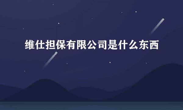 维仕担保有限公司是什么东西